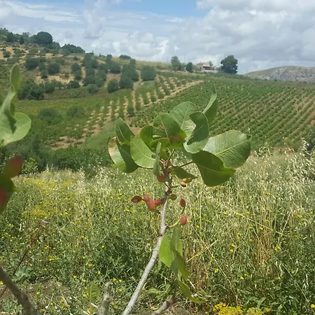 Séjour à la ferme Gessi *